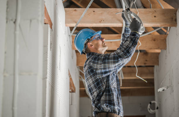 Best Electric Panel Repair  in Plover, WI